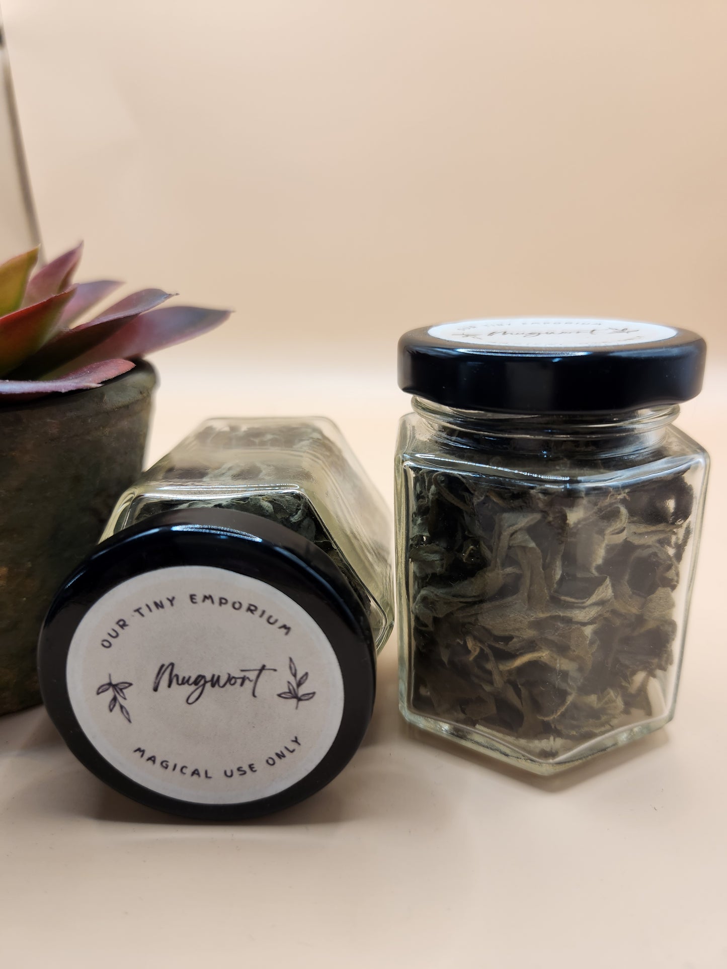 Mugwort.