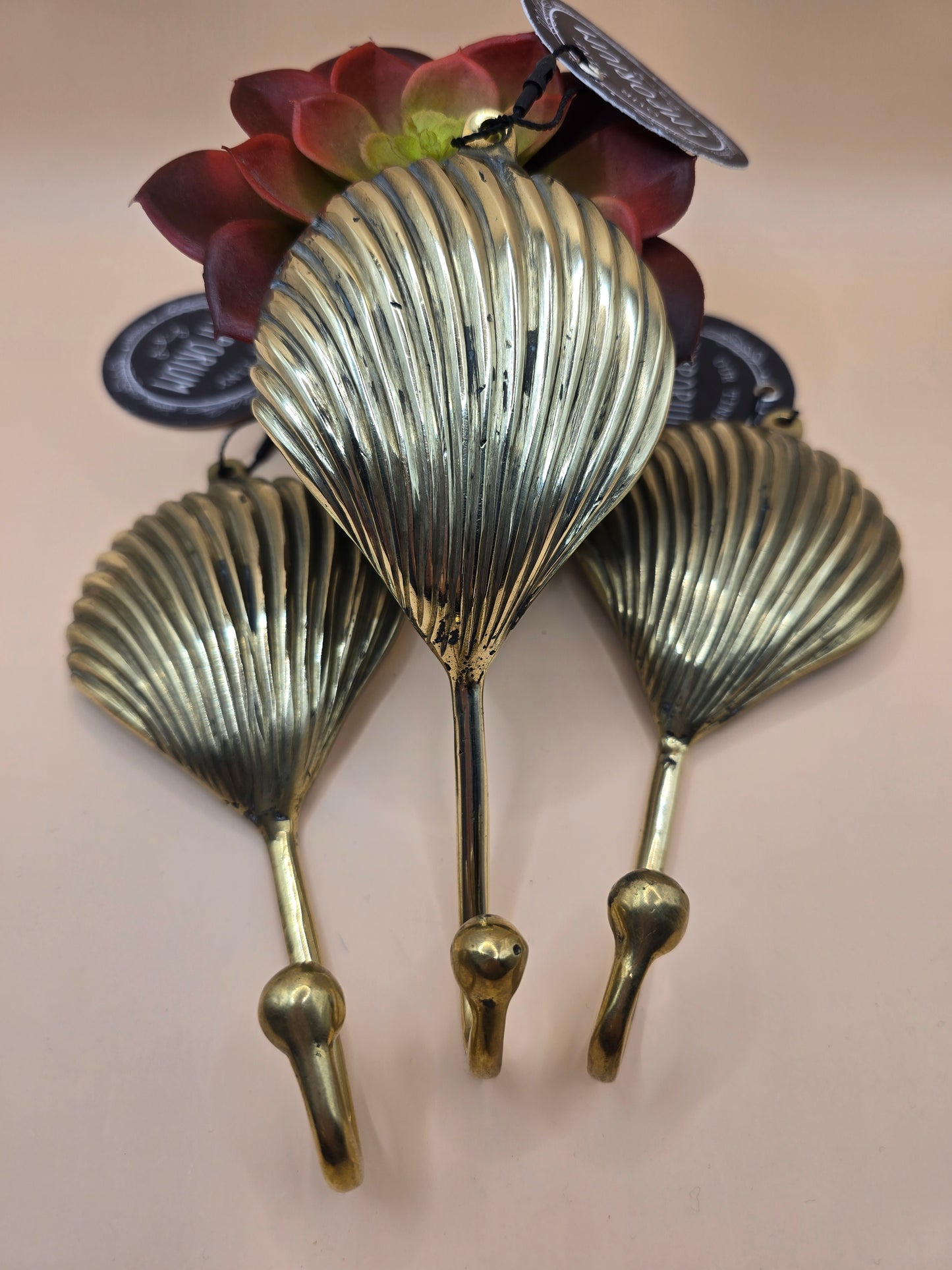 Shell Brass hooks.