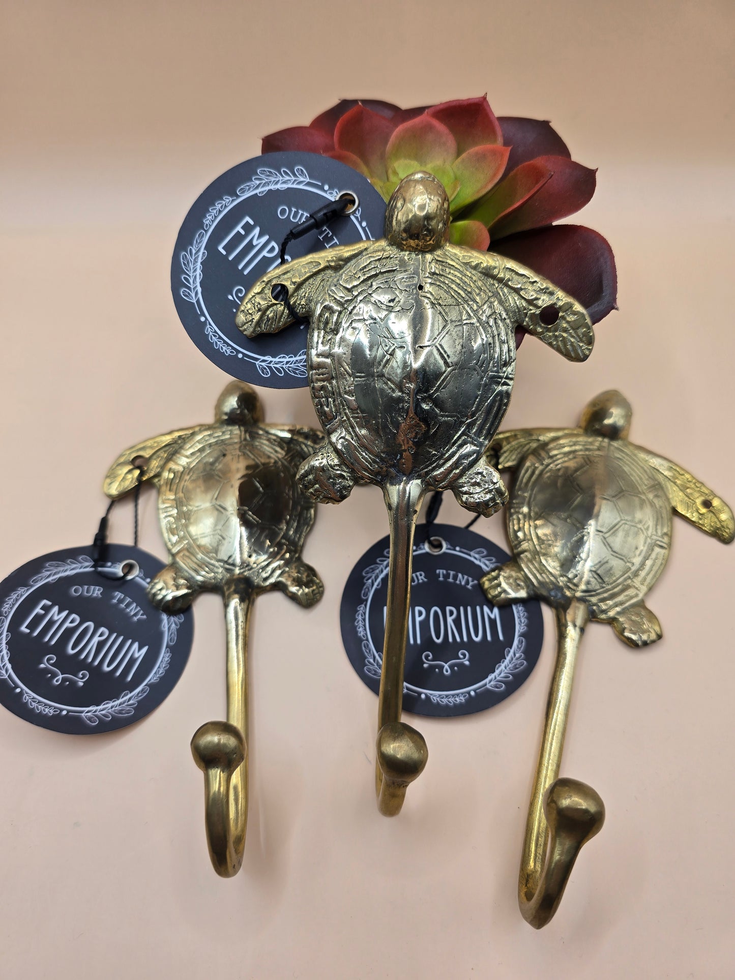 Turtle Brass hooks