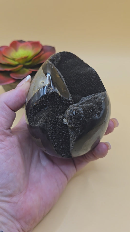 Septarian Egg.