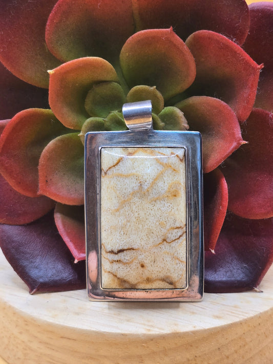 Picture Jasper sterling silver necklace.